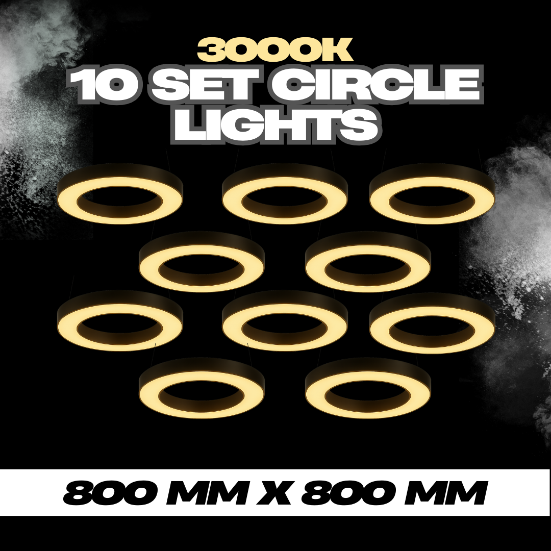 80cm Hollow Circle Lights (10 set)