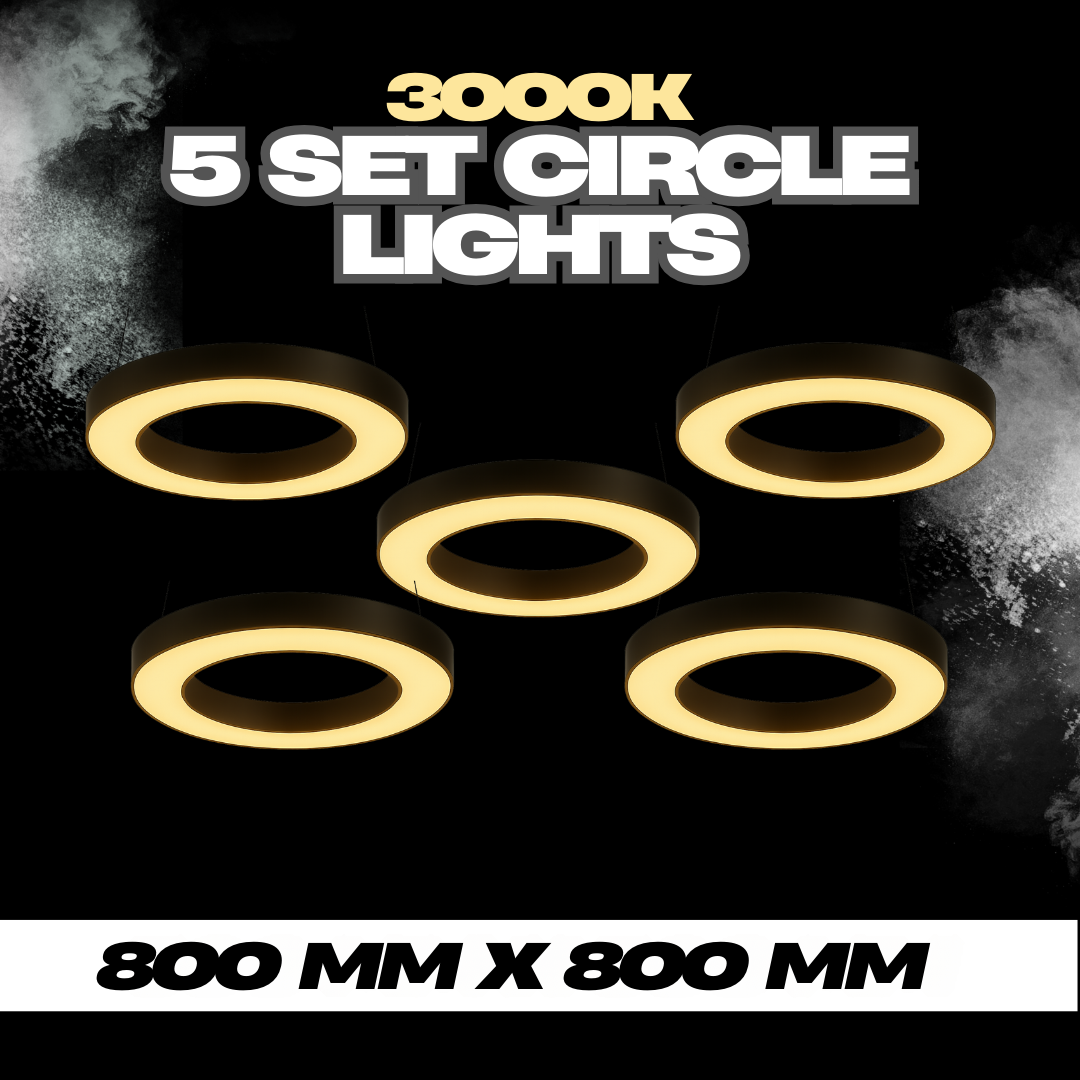80cm Hollow Circle Light (set of 5)