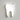Dentist Front Lit Sign – Illuminated Tooth Clinic Logo