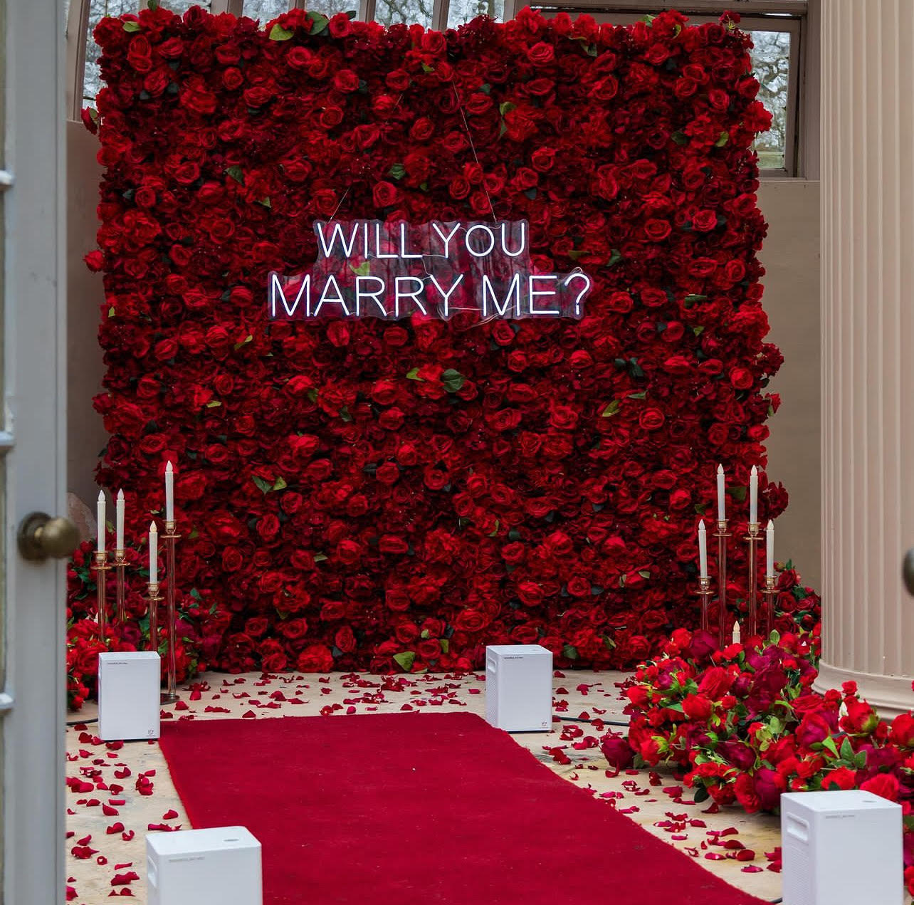 Will You Marry Me? Neon Sign | Led Neon Lights - Neon Signs UK